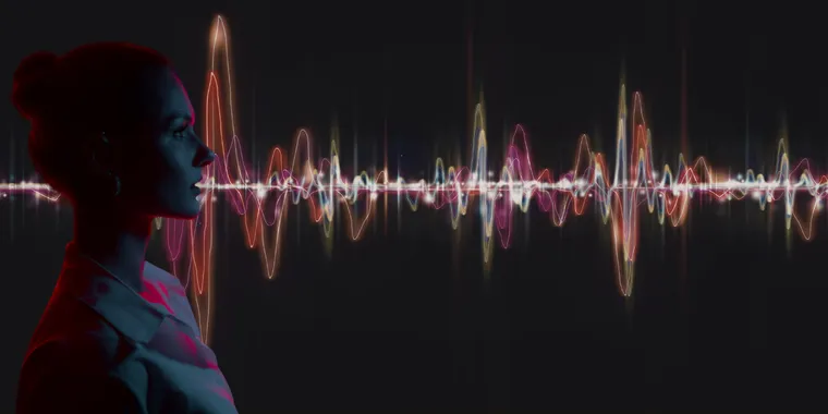 Blogue Commande Vocale